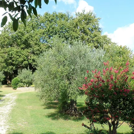 Poggiolindo Frühstückspension