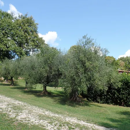 Alojamento de Acomodação e Pequeno-almoço Poggiolindo Capodimonte