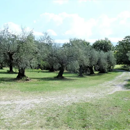Poggiolindo