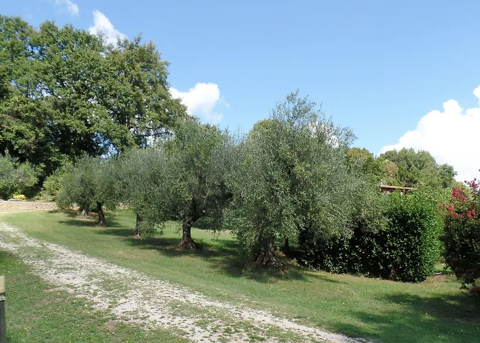 住宿加早餐酒店 Poggiolindo 卡波迪蒙泰