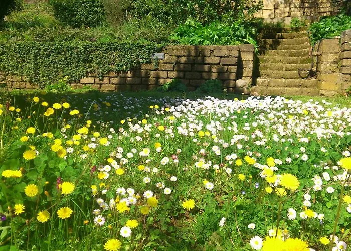 住宿加早餐酒店 Poggiolindo 卡波迪蒙泰